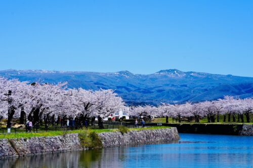 函館五稜郭公園